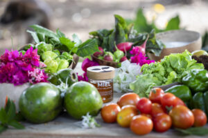 TranspatioMaya2 TranspatioMaya2