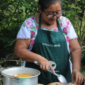 TranspatioMaya3 TranspatioMaya3